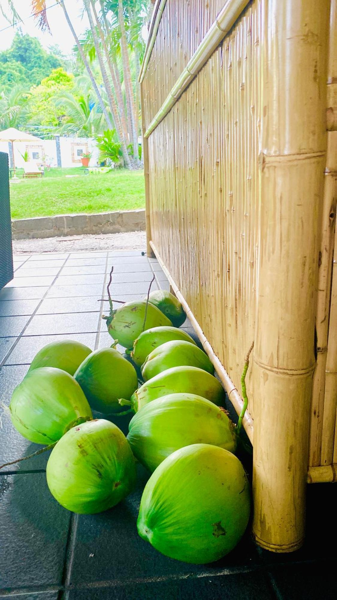 Jaguar House Resort Muine Mũi Né Exterior foto